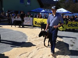 2019_ausstellung polling_259